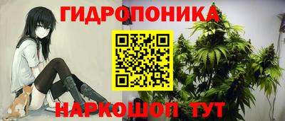 apvp Гусь-Хрустальный
