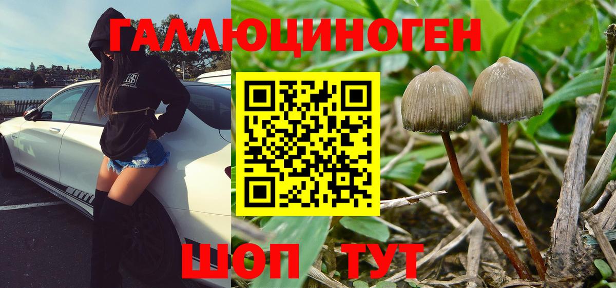 Псилоцибиновые грибы мухоморы Мценск