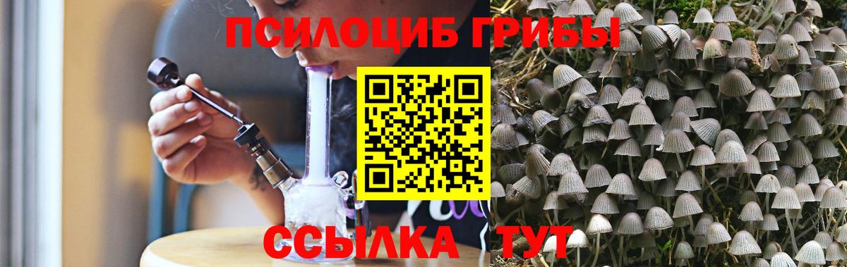 Галлюциногенные грибы Psilocybe  Галлюциногенные грибы ЛСД  Вход с VPN  Мценск 