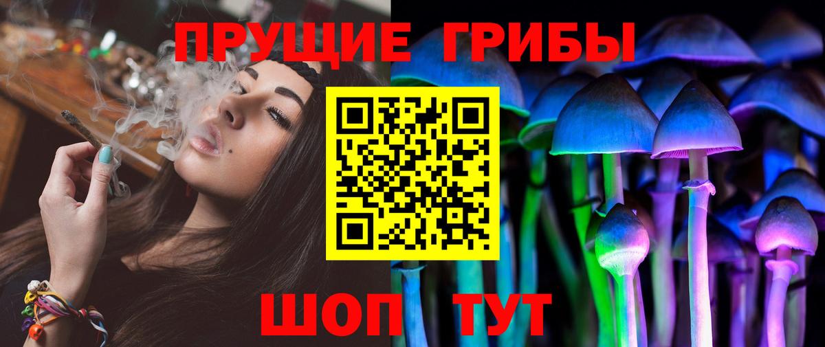 Псилоцибиновые грибы мицелий Мценск